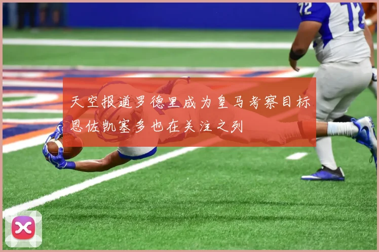 天空报道罗德里成为皇马考察目标恩佐凯塞多也在关注之列
